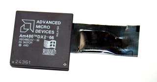 AMD Am486 DX2-66 Processor (A80486DX2-66 V8T, 168-pin ceramic PGA, 66 MHz)  with WinLogo